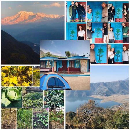 Hom'S Homestay & Farmstay Sarangkot Pokhara Eksteriør bilde