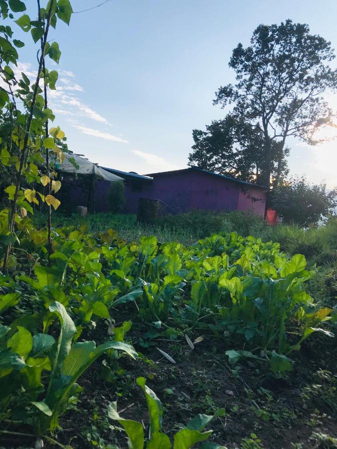 Hom'S Homestay & Farmstay Sarangkot Pokhara Eksteriør bilde