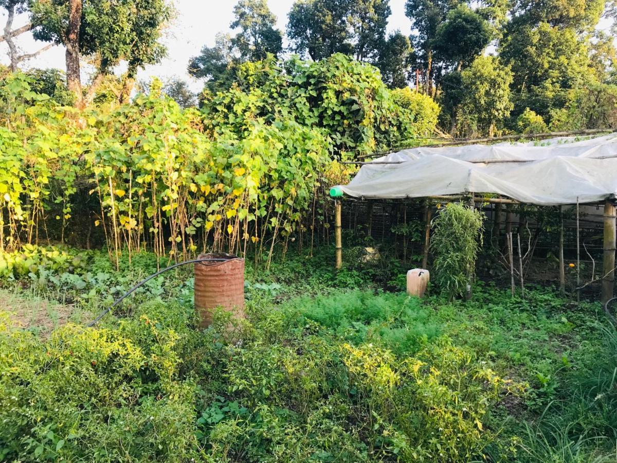 Hom'S Homestay & Farmstay Sarangkot Pokhara Eksteriør bilde