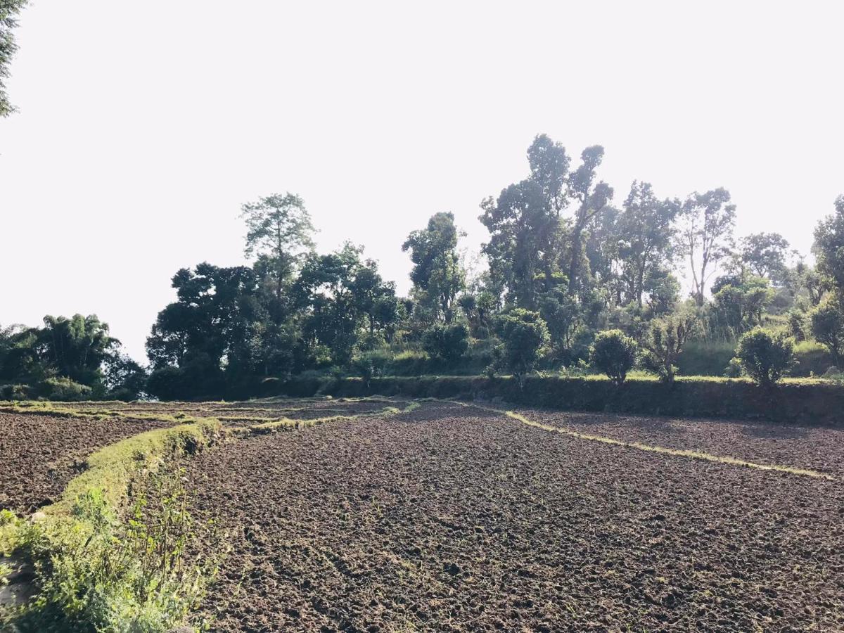 Hom'S Homestay & Farmstay Sarangkot Pokhara Eksteriør bilde