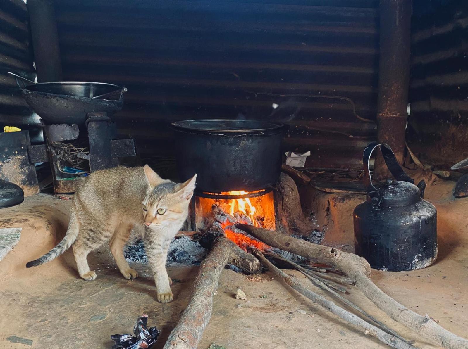 Hom'S Homestay & Farmstay Sarangkot Pokhara Eksteriør bilde